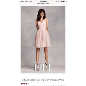 White by Vera Wang Sleeveless Tulle Lace Dress