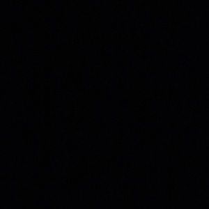 Meet your Posher, Lauran