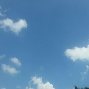 Meet your Posher, Toni