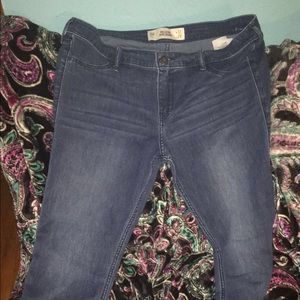 Hollister Jeggings BRAND NEW