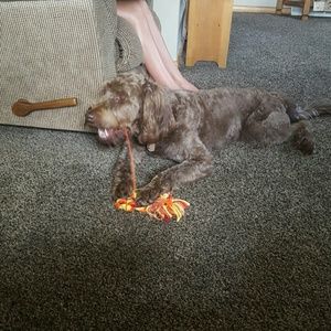 Meet your Posher, Kristy