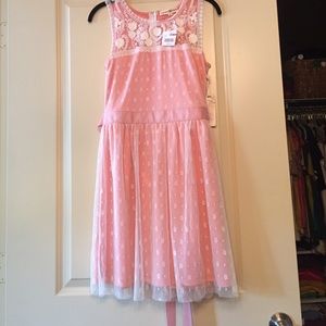 NWT Altard State pink and lace dress