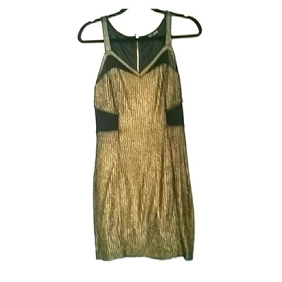 Express gold black copper metallic dress