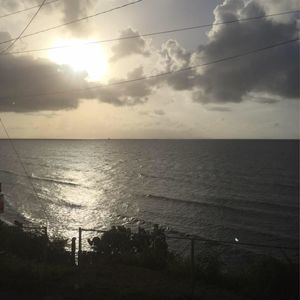 Meet your Posher, Eva