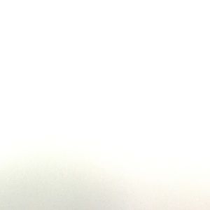 Meet your Posher, Lisha