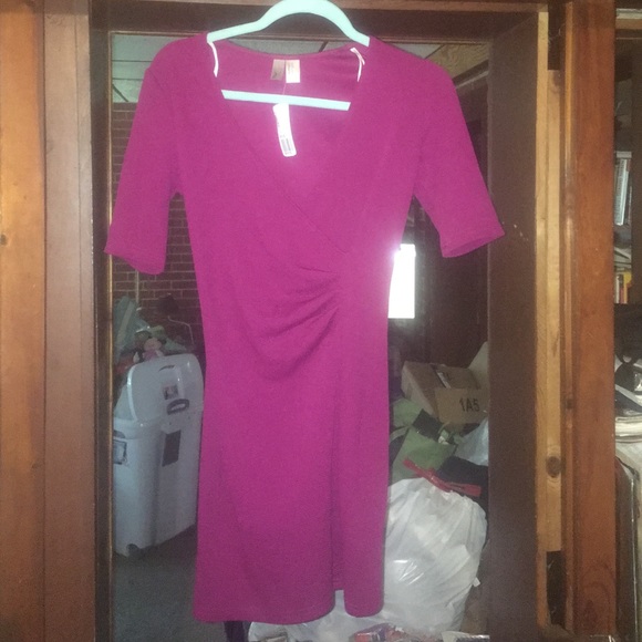 Raspberry Dress