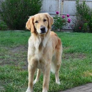 Meet your Posher, Tracey