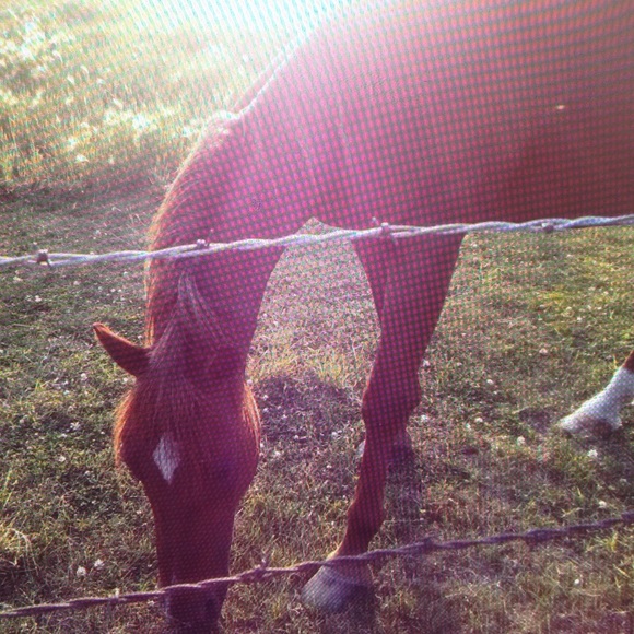 Meet your Posher, Heather - Picture 2 of 4