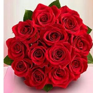 Meet your Posher, Laurie