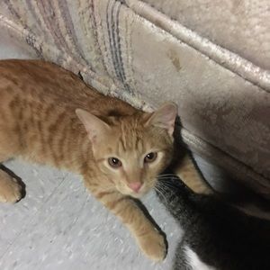 Meet your Posher, Sue