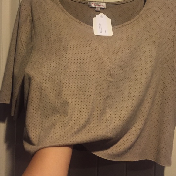 Suede nude crop top! Nwt - Picture 3 of 4