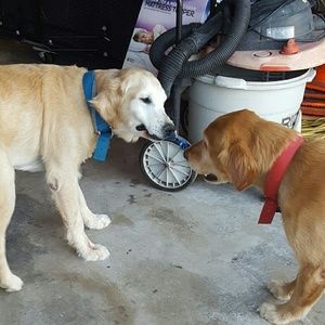 Meet your Posher, Lynn