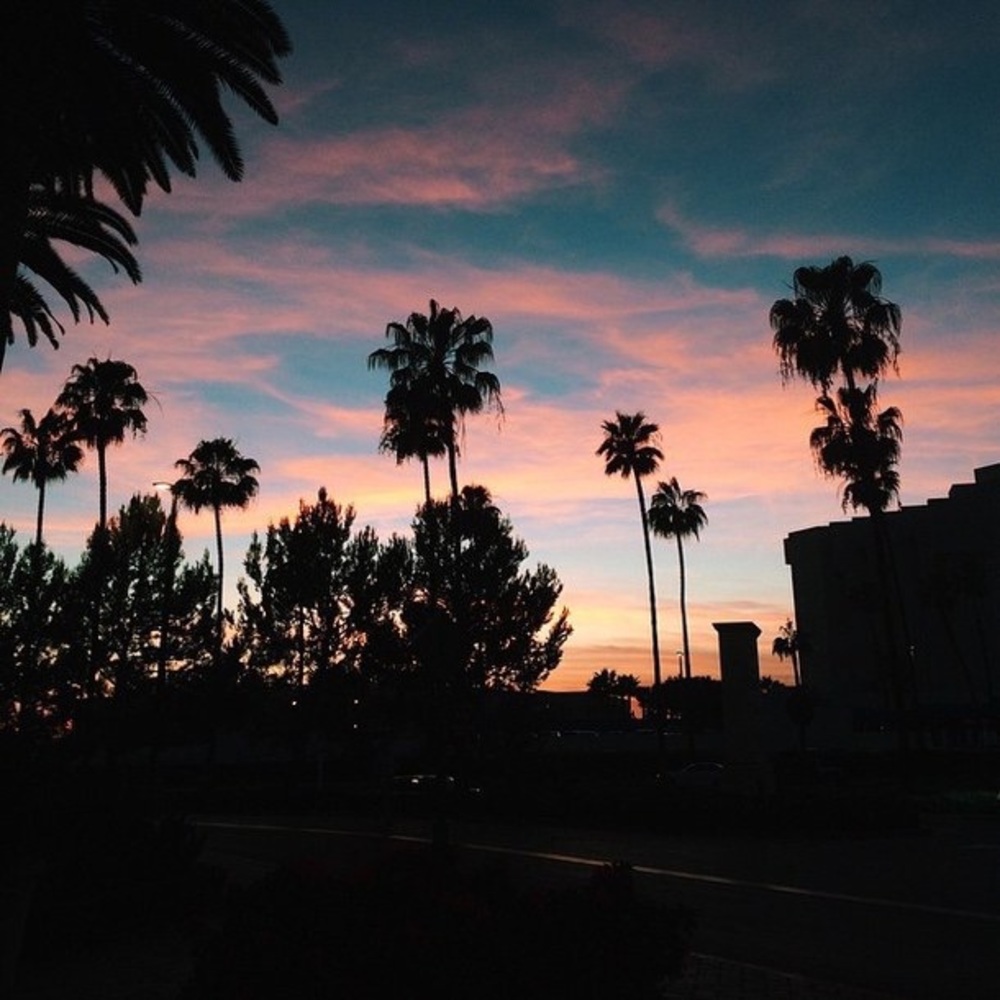 Meet your Posher, Jen