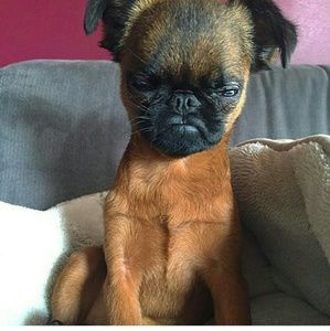 Meet your Posher, Sue