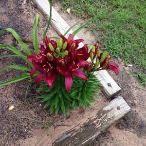 Meet your Posher, Kathy