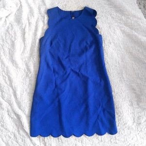 J crew Scalloped Dress NWT