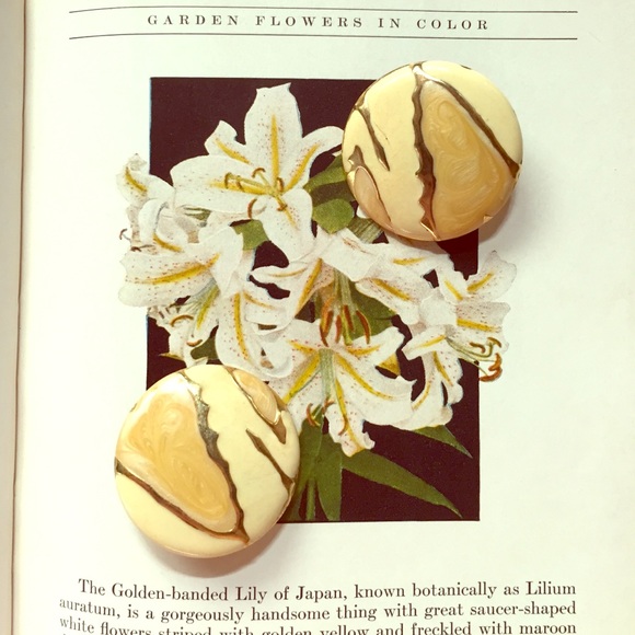 Vintage Jewelry - ✨LAST CHANCE Vintage earrings