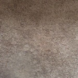 Meet your Posher, Stacci