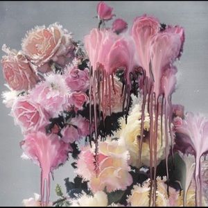 Meet your Posher, Giselle