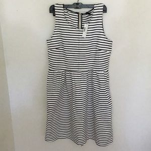 NWT Jcrew White + Navy Striped Dress Size 12