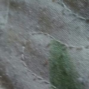 Meet your Posher, Terry