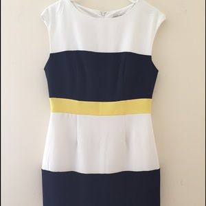Sandra Darren Color Block Dress