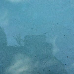 Meet your Posher, Nikki