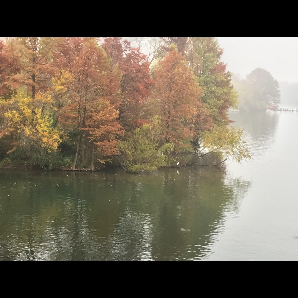 Meet your Posher, Shan