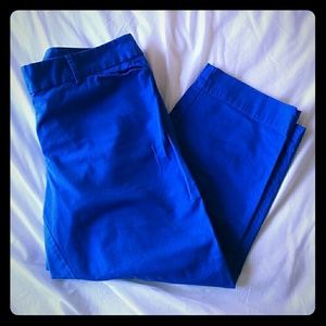 Basic ankle pants in beautiful bright blue