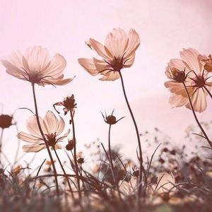 Meet your Posher, Gianna