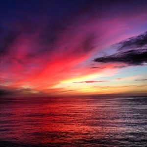 Meet your Posher, Kimmie