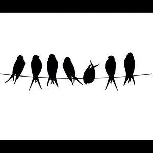 Meet your Posher, Lee-deane