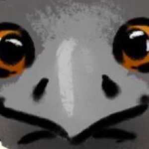 Meet your Posher, Bethany