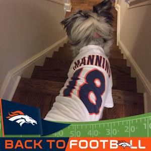 Meet your Posher, Jenni