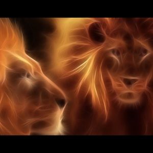 Meet your Posher, Nikkie