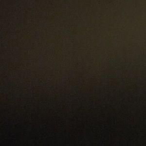 Meet your Posher, Quinn