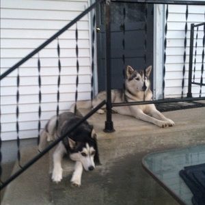 Meet your Posher, Fatima