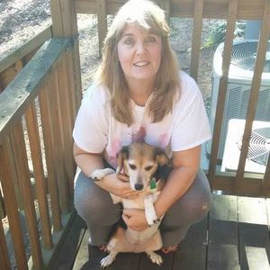 Meet your Posher, Shelley