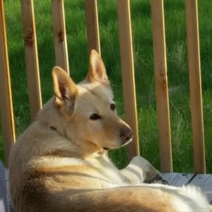 Meet your Posher, Lori