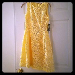 Eva Mendes Dress by New York & Co.