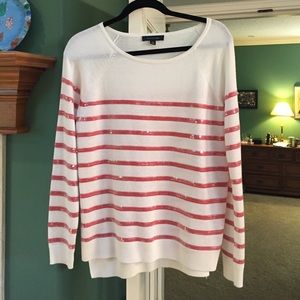 Ann Taylor Sweater