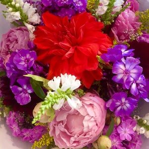 Bundle for caligirl2829