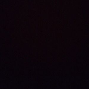 Meet your Posher, Dylan