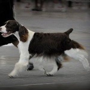 Meet your Posher, Robert