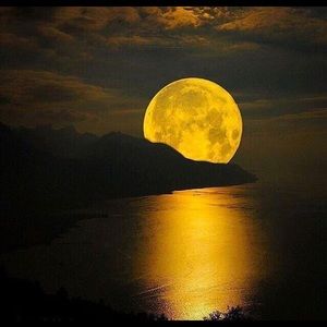 Meet your Posher, Lassen