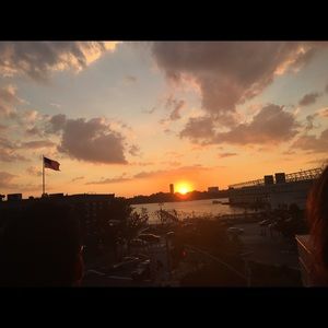 Meet your Posher, Lily