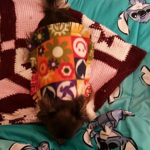 Hand-sewn small dog outfit
