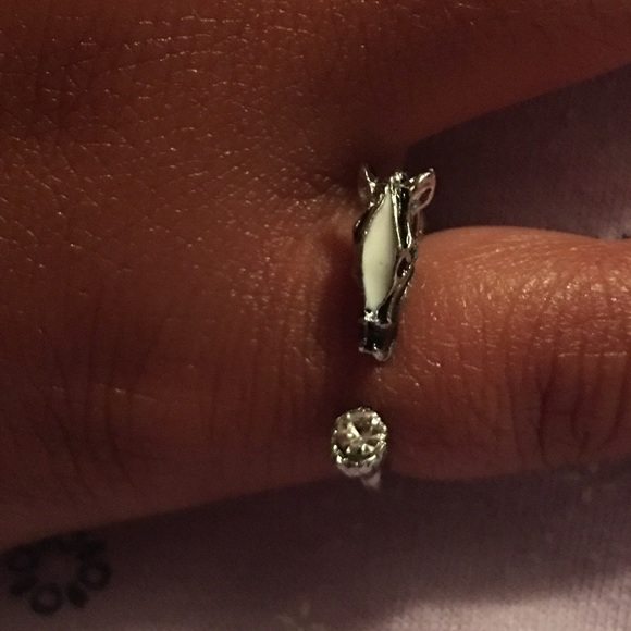 (D3) Zebra Ring - Picture 4 of 4