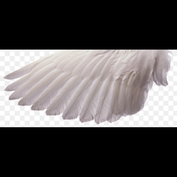 Angel or Fairy Feather Wings