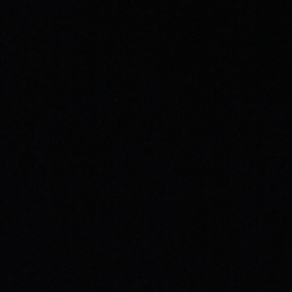 Meet your Posher, Bella